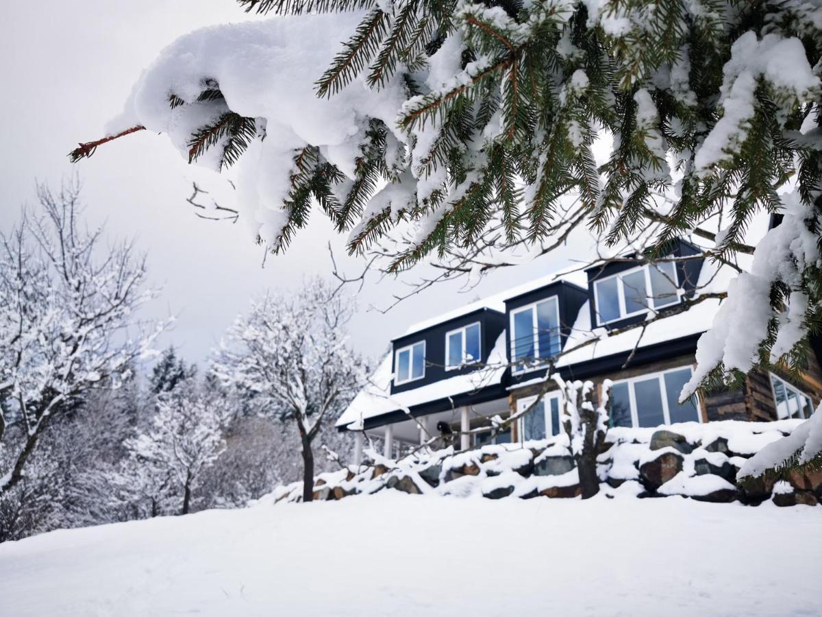 Villa Doinita House Borşa Exterior foto