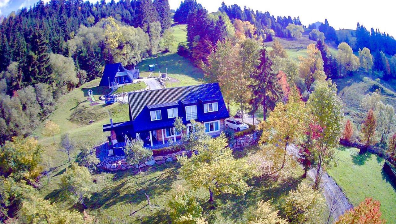 Villa Doinita House Borşa Exterior foto