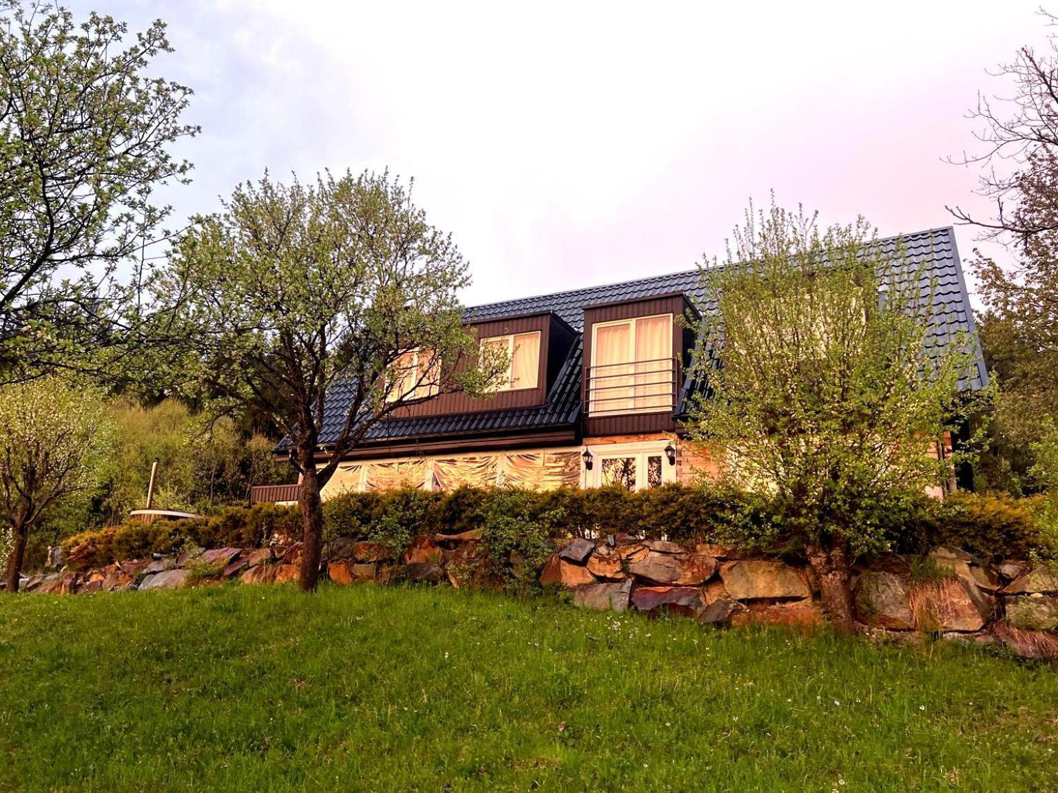 Villa Doinita House Borşa Exterior foto