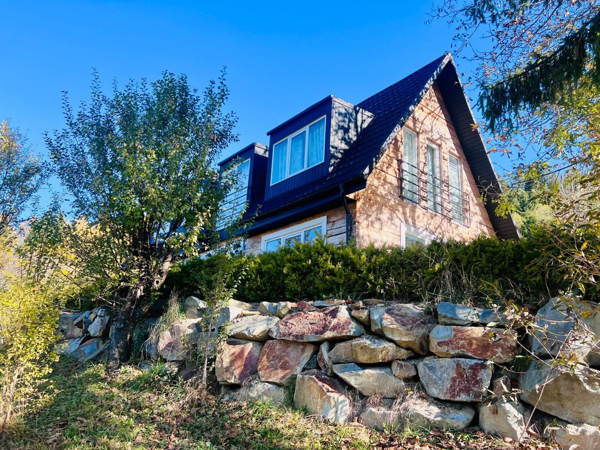Villa Doinita House Borşa Exterior foto